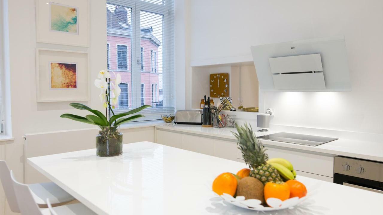 Luxueux Logement Bourgeois De 250 M2 Climatise Lille Eksteriør billede